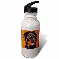 3dRose Cartoon Style Nerdy Rottie Sticking Tongue Out - Water Bottles (wb_357086_2)