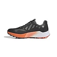 Adidas Terex Agravic Flow Gore-tex Trail Running 2.0 LSF77 Men's Running Shoes