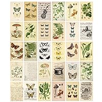 Vintage Collection Postcard Set Retro Style 30 PCS 4x6 in Botanical Butterfly Flower Mushroom Nature Postcards
