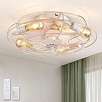 Caged Ceiling Fan with Light, 21