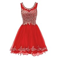 Short Cocktail Party Dresses for Women Tulle Gold Appliques Prom Gowns Red 18W
