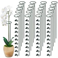 Unves 20 Pack Plant Stakes, 15.8 Inch Green Single Stem Flower Garden Plant Support with 40pcs Plant Clips, Plant Cage Support Rings for Tomato Amaryllis Orchid Peony Rose