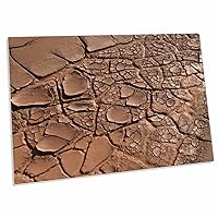 3dRose - Cracked mud, Navajo Reservation, SEBA Dalkai, Arizona - US03 PBO0000 - Phil Borges - Desk Pad Place Mat - (dpd-88039-1)