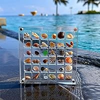 Acrylic Magnetic Seashell Display Box, Magnetic Seashell Display Box, 36/64/100 Grids Acrylic Display Box , Seashell Display Box, for Bead, Nail, Jewelry, Etc (64 Grids)