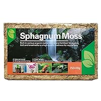150g Dried Forest Moss for Potted Plants Green Artificial Moss Decoration  Natural Sphagnum Moss for Terrarium Decor, Orchid Soil Medium (4 Quarts)