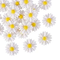 LiQunSweet 20 Pcs 23mm Flatback White Daisy Flower Cameo Charms Mini Undrilled Bead Decorated Artificial Daisies for DIY Craft Cloth Pen Box Home Décor