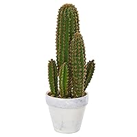 1.5ft. Cactus Succulent Artificial Plant