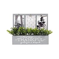 3-Opening Thankful Faux Eucalyptus Planter Clip Frame Collage in Gray, Holds (3) 4x6 Photos