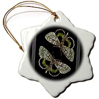 3dRose Moss and Pearl Green Butterflies on a Textured Dark Blue... - Ornaments (orn-53915-1)