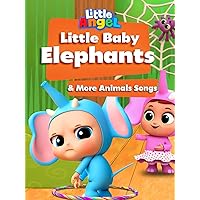 Little Baby Elephants & More Animals Songs - Little Angel