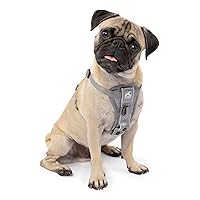 Kurgo Tru-Fit Quick Release Dog Harness - Durable, Everyday Harness for Dogs - Hiking, Walking, Running - Reflective, Quick Release Buckles - Includes Pet Seatbelt - No Pull Training - Gray, XS