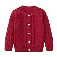 Toddler Boys Girls Cardigan Sweater Autumn/Winter Solid Color Knitted Jacket Party Birthday School Anime Hoodie