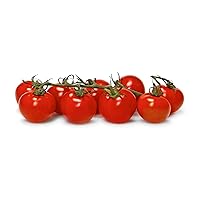 Sunset Produce Campari Tomatoes, 32 OZ