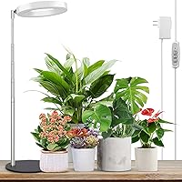 LORDEM Grow Light, LED Plant Light for Indoor Plants Growing, Full Spectrum Desk Growth Lamp with Automatic Timer for 4H/8H/12H, 4 Dimmable Levels, Height Adjustable 9.8