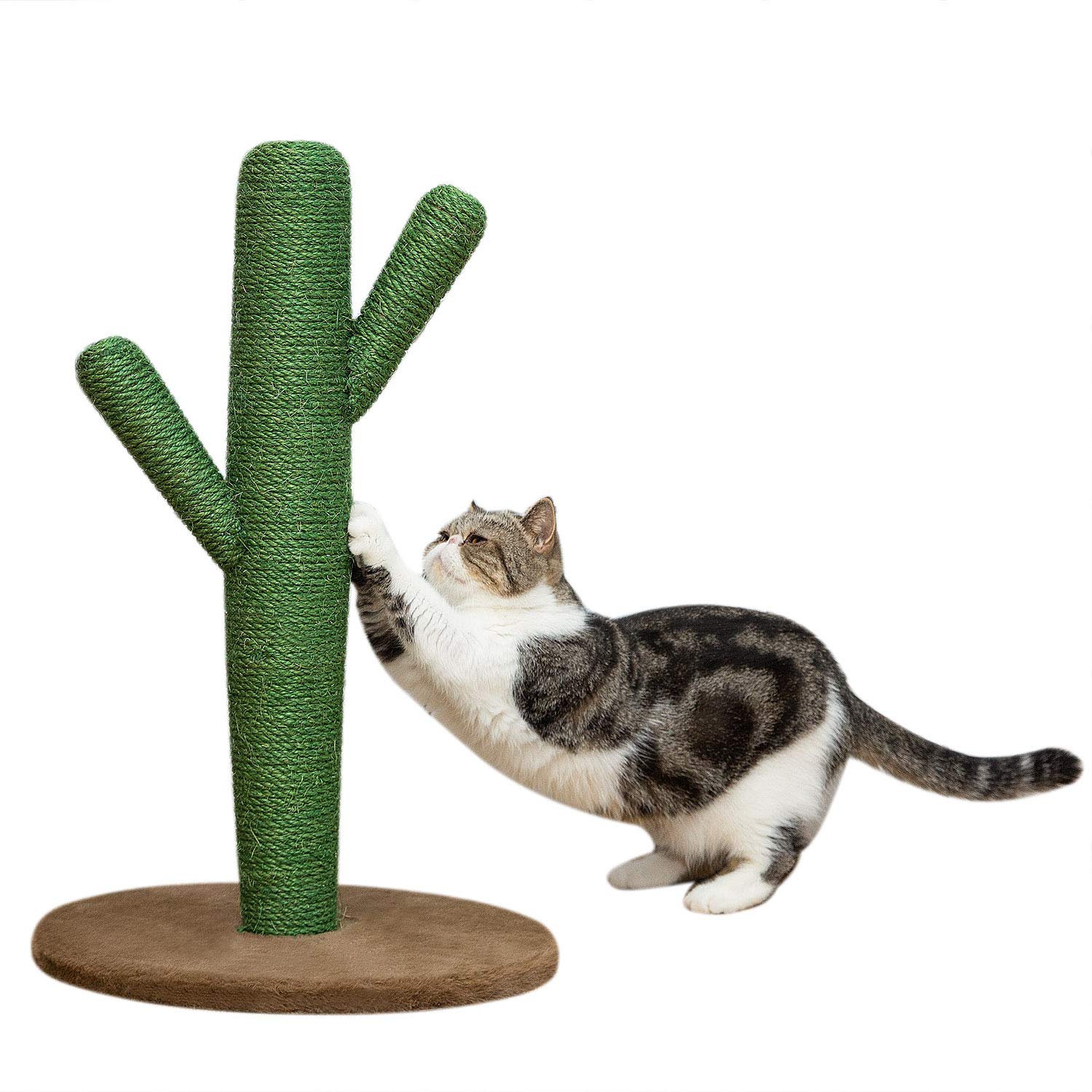 Yangbaga Cat Scratching Post, Cat Activity Tree with Catnip and Covered with Sisal Rope for Cat Scratching, 22.4in Cat Tower and Bed for Adult Cats