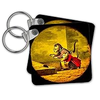 3dRose Key Chains Antique Hand Painted Magic Lantern Cartoon Story of the Cat Mouse Hunt (kc-300341-1)