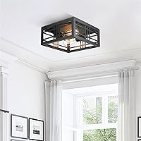 zeyu 2-Light Square Flush Mount Ceiling Light, 11 Inch Farmhouse Close to Ceiling Light for Kitchen Foyer Bedroom, Black Finish with Clear Glass, ZW65F BK