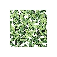 RoomMates RMK11045WP Tropical Palm Leaf Green Peel and Stick Wallpaper