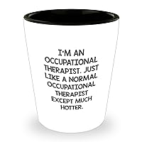 Occupational Therapist Shot Glass, Funny OT Sarcasm Gifts for Occupational Therapist, Unique Father's Day Unique Gifts from Kids, Men, Women