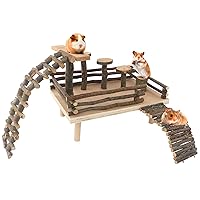 HOSUKKO Hamster Climbing Toys Wooden Hamster Playing Activity Set, Hamster Activity Playground Climb Platform Apple Wood Chewing Toys for Hamster Small Pets (D-Playground with Large Bridge)