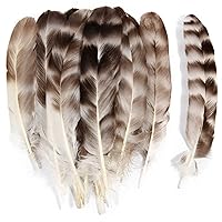 THARAHT 24pcs Natural Grey-Chinchilla Feathers Bulk 6-8inch 15-20cm for DIY Crafts Project Collection Wedding Decoration Reeded Chicken Feathers