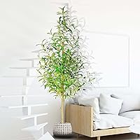Artificial Plant Artificial Olive Tree 5FT Tall Faux Silk Plant for Home Office Decor Indoor Fake Potted Tree Plastic Anti-Real Tree Pole and Lifelike Fruits
