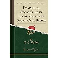 Damage to Sugar Cane in Louisiana by the Sugar-Cane Borer (Classic Reprint) Damage to Sugar Cane in Louisiana by the Sugar-Cane Borer (Classic Reprint) Paperback