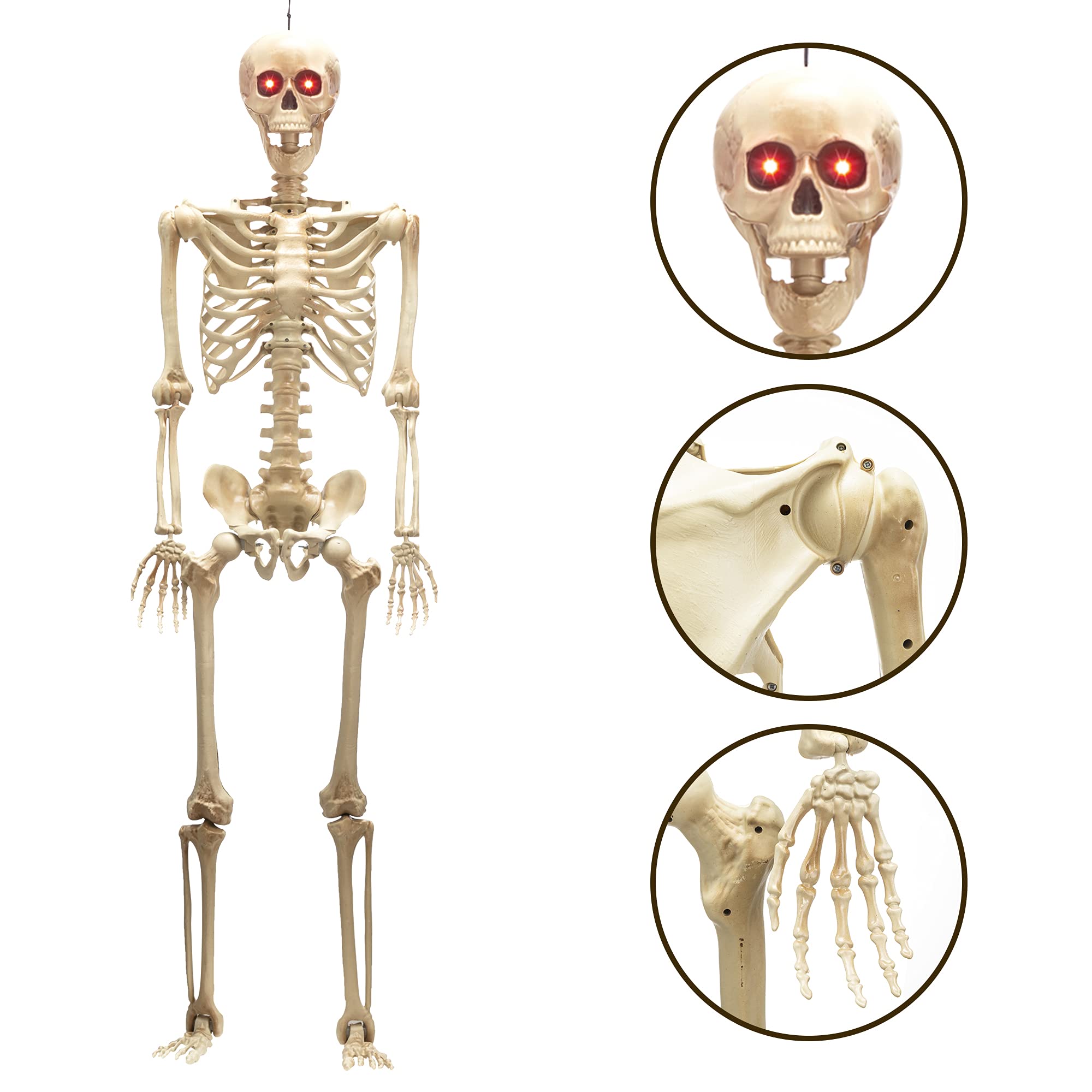 JOYIN 5 ft Halloween Life-Size Skeleton with Red Light Eyes, Full Body Human Bones with Posable Joint for Halloween Decorations, Haunted House Accessories, Indoor/Outdoor Spooky Scene Party Favors