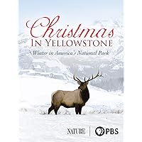 Christmas in Yellowstone