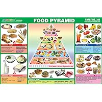 Pre - Primary Kids Educational Learning Pack Of 25 Food Pyramid Pictorial Sticker