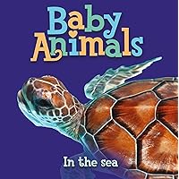 Baby Animals In the Sea Baby Animals In the Sea Board book