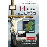 14 Stations of the Cross at Pietrelcina in Ireland:: Faithful Reflections Along Ireland's Sacred Path. 14 Stations of the Cross at Pietrelcina in Ireland:: Faithful Reflections Along Ireland's Sacred Path. Paperback Kindle Hardcover