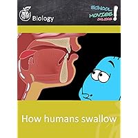 How humans swallow - School Movie on Biology