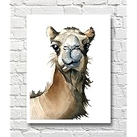 Camel Watercolor Camel Art Print Animal Wall Decor