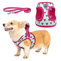 KOOLTAIL Valentine's Day Dog Harness for Small Medium Dogs,Dog Harness and Leash Set, Step in No Pull Soft Mesh Padded Adjustable and Reflective Pet Vest Harness Puppy Pink Heart S