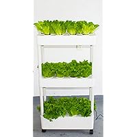 Hydroponics Growing System Indoor Home Used Hydroponic Tower Growing System Grow Planter Box 3Layers Aeroponic System Indoor Vertical Garden Tower with Led Light Hydroponic Tower (Color : Bi
