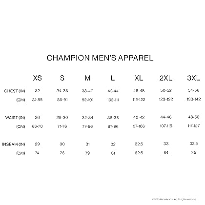 Champion Men's T-shirt, Classic Tee for Men, Men's T-shirt, Men's Tee (Reg. Or Big & Tall)