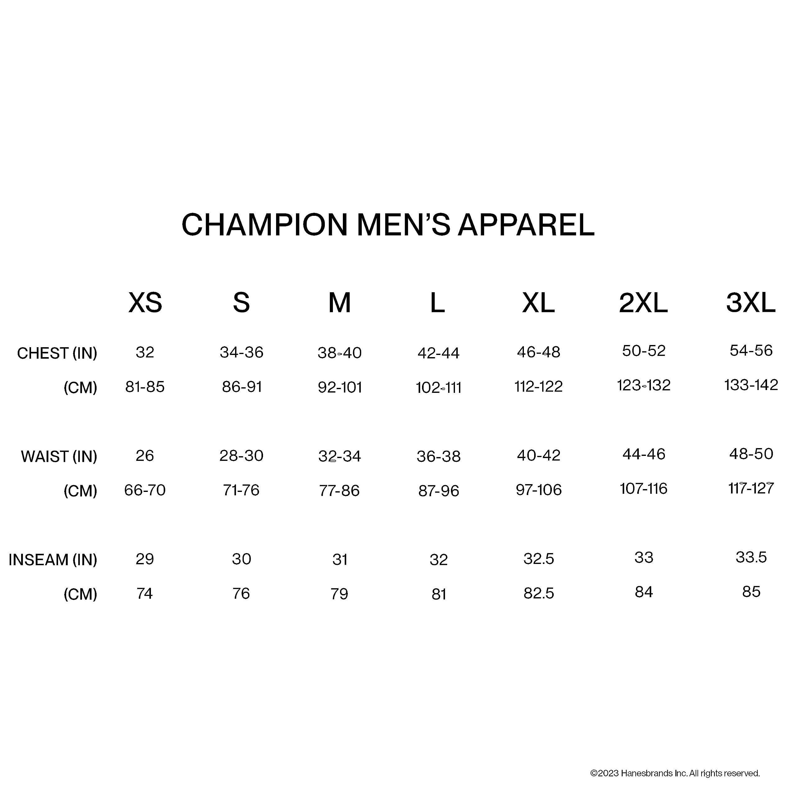 Champion Men's T-shirt, Cotton Midweight Men's Crewneck Tee, T-shirt for Men, Script (Reg. or Big & Tall)