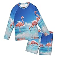 Flamingos Boys Rash Guard Sets Swimsuits with Long Sleeve Swimsuit Rash Guard,3T