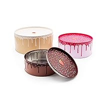 Cake Boxes Cake Container & Cookie Tins With Lids For Gift Giving Nesting Cake Storage Container With Tiered Design Cupcake Cookie Jar For Kitchen Decor Baking Gifts Set of 3
