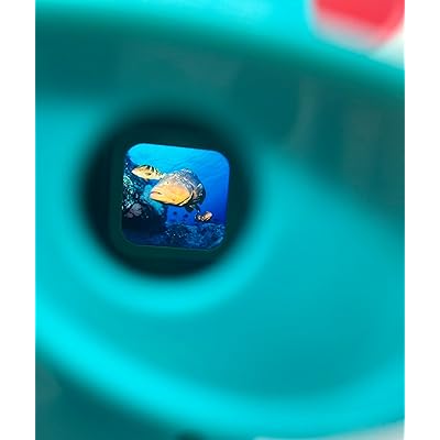  WARM FUZZY Toys 3D Viewfinder (Shark) - Viewfinder for Kids &  Adults, Classic Toys, Slide Viewer, 3D Reel Viewer, Retro Toys, Vintage  Toys with 3 Reels - Contains 21 High Definition