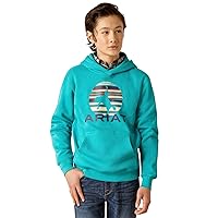 Ariat Boys' in Motion Hoodie