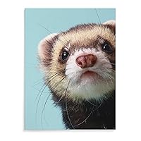 Ferrets Canvas Artwork Wall Hanging Picture Vintage Painting Poster Home Decor Unframe-Style 30 * 40cm