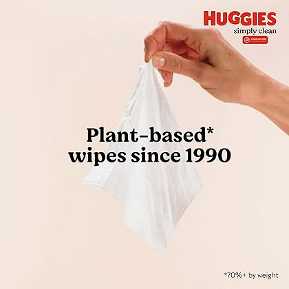 Huggies Simply Clean Fragrance-Free Baby Wipes, 64 Count (Pack of 11) (704 Wipes Total)