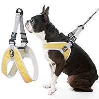 Gooby Simple Step in III Harness - Yellow, Medium - Small Dog Harness with Scratch Resistant Outer Vest - Soft Inner Mesh Harness for Small, Medium Dogs