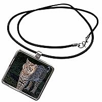 3dRose Bobcat, captive, Gatorland, Orlando, Florida - Necklace With Pendant (ncl-367042)