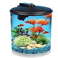 Kisangel 2pcs Miniature Fish Bowl Fish Tank Mini Fish Tank Accessories (The  Color of Fish is Random)