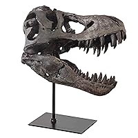 Dinosaur Statue Home Living Room Decor for Boys T-Rex Skull Resin Sculpture Office Decoration on Shelf Table Desk, 11.8 in Dinosaurs Skeleton Ornaments for Bookshelf