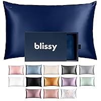 Blissy Silk Pillowcase - 100% Pure Mulberry Silk - 22 Momme 6A High-Grade Fibers - Silk Pillow Cover for Hair & Skin - Regular, Queen & King with Hidden Zipper (King, Blue)