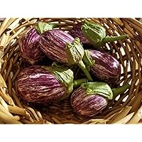 30 Seeds of Udumalpet Eggplant Purple with White Stripes Seeds
